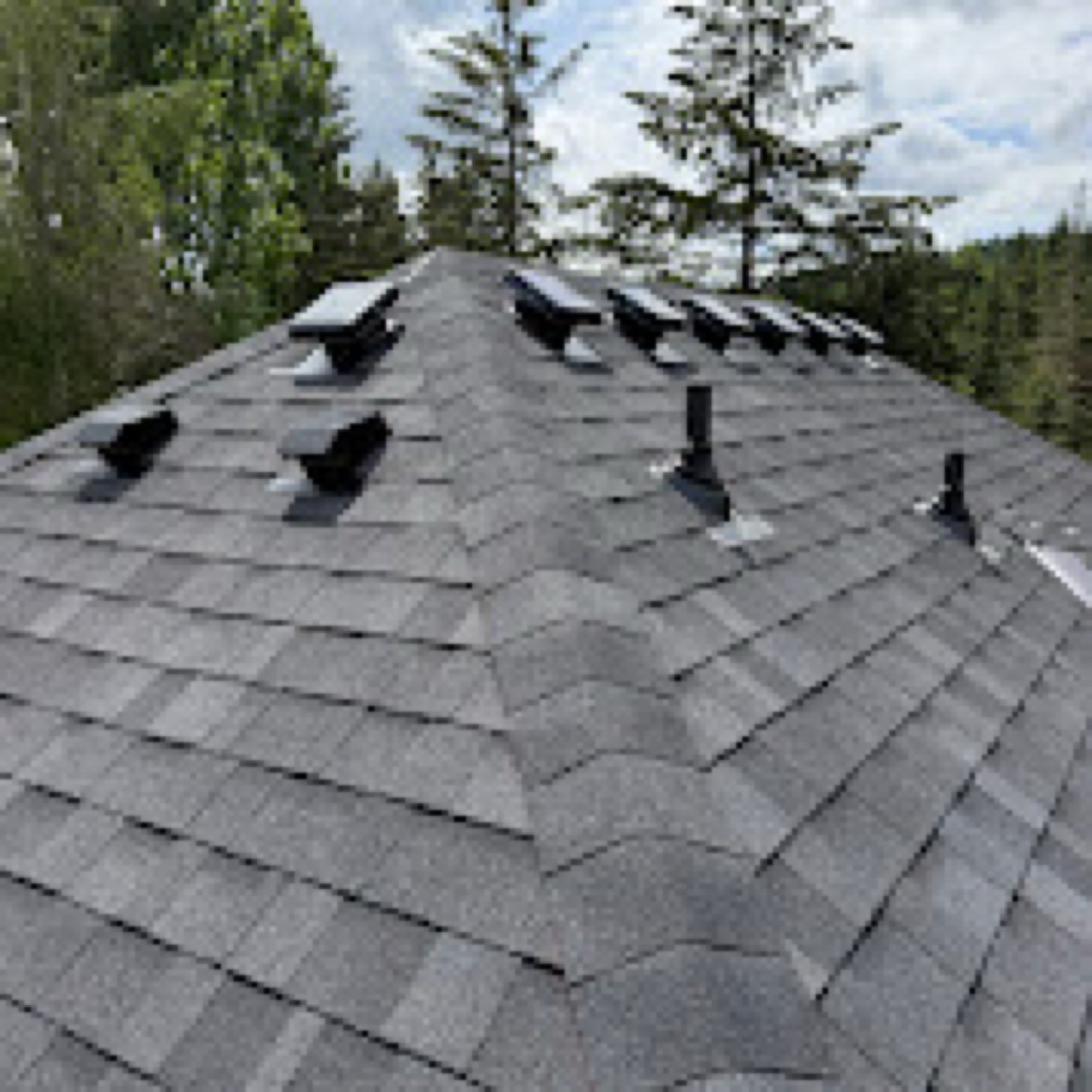 Ridge line of a newly installed architectural shingle roof